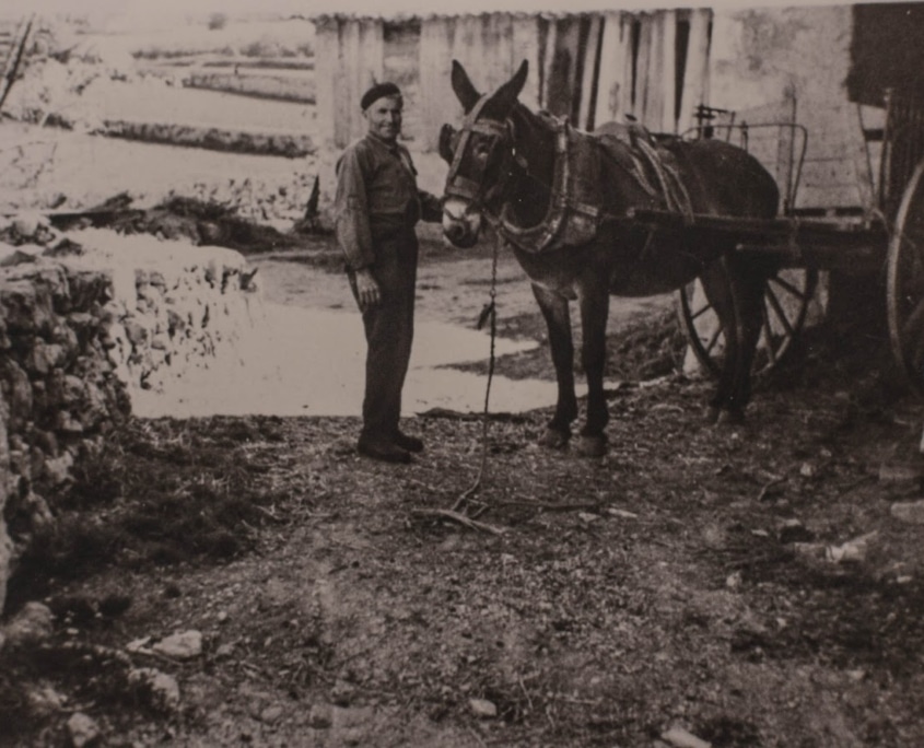 Un Passeig pel passat