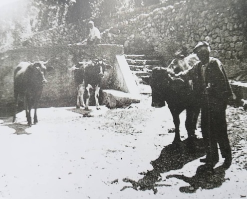 Un Passeig pel passat
