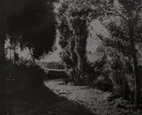 Un Passeig pel passat